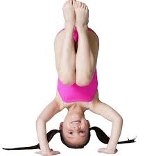 brighton ballet school acrobatic arts and gymnastics